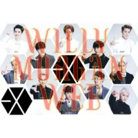 Exo 1
